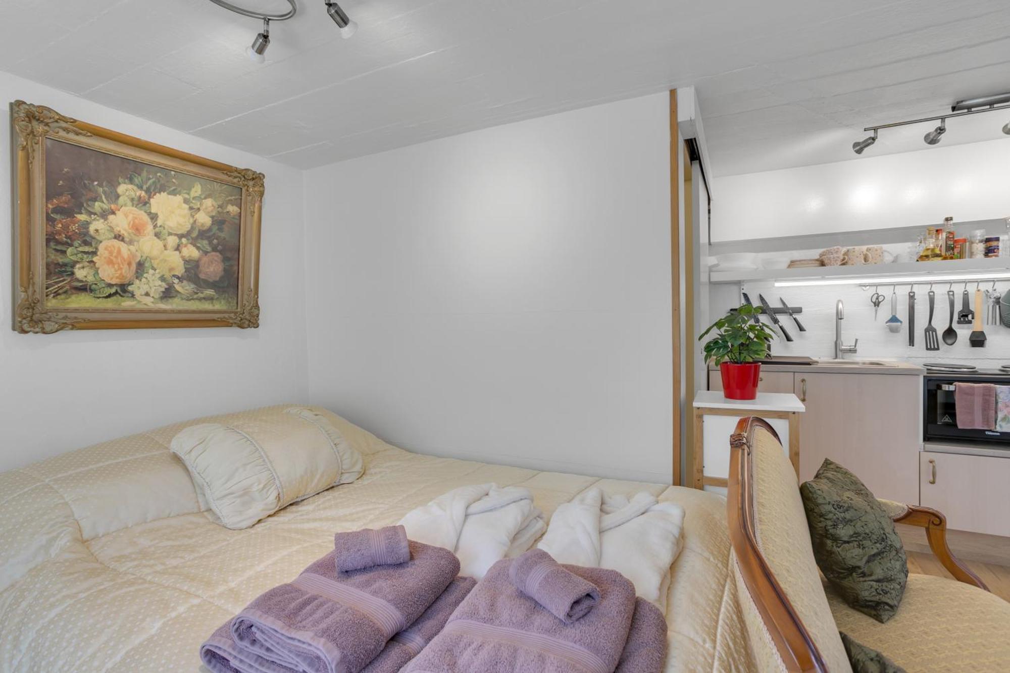 Lara Studio In Laugardalur Valley, Reykjavik Central Park And Botanical Garden, Private Entrance, Free Private Parking On Side Exterior foto